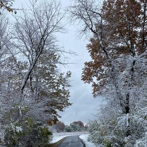 Meet your Posher, Jenn